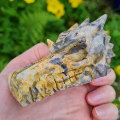 Crazy Lace Agate Dragon Skull 3&quot;*
