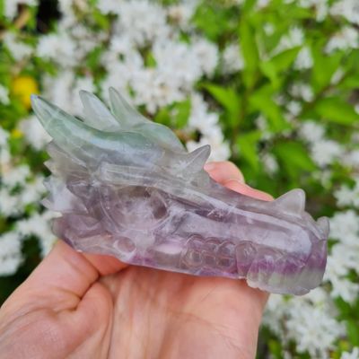 Mixed Fluorite Dragon Skull 3&quot;*