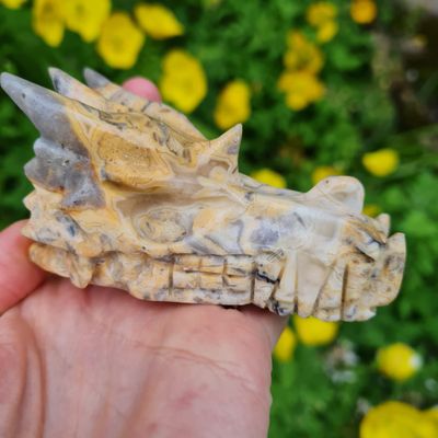 Crazy Lace Agate Dragon Skull 3&quot;*