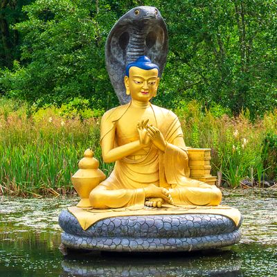 🟡 Buddha Peace Codes Samye Ling Darshan Offering