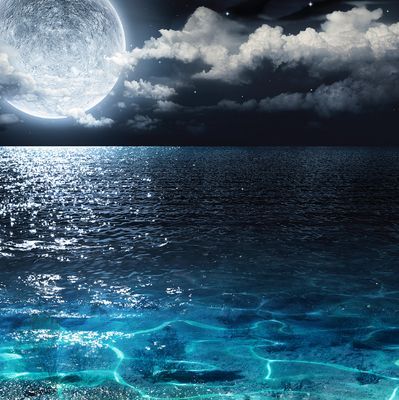 🟣 Awakening Your New Higher Lightbody Pleiadian Workshop