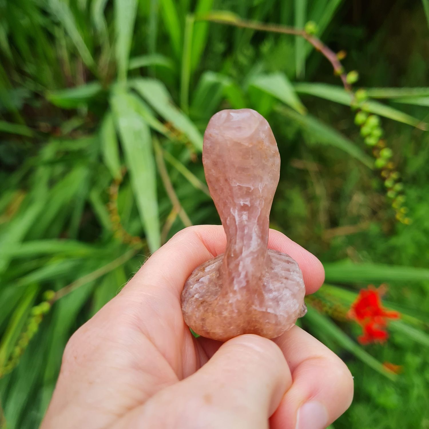 Raspberry Aventurine Cobra 2&quot;