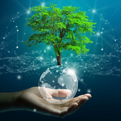 🟣 Crystalline Awakening New Earth Equinox Virtual Retreat