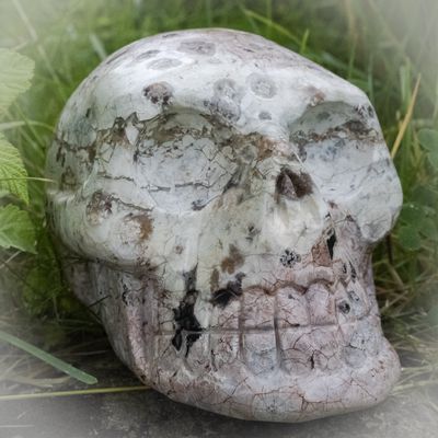 🟢 Connecting with Crystal Skulls Workshop