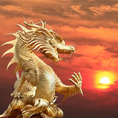 🟣 Golden Lyran Dragon Empowerment Workshop