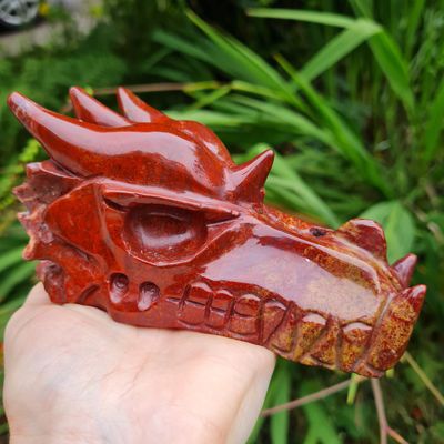 Large Dragon Skulls