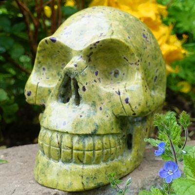 Revitalising Your Body Organs Cara Crystal Skull Healing