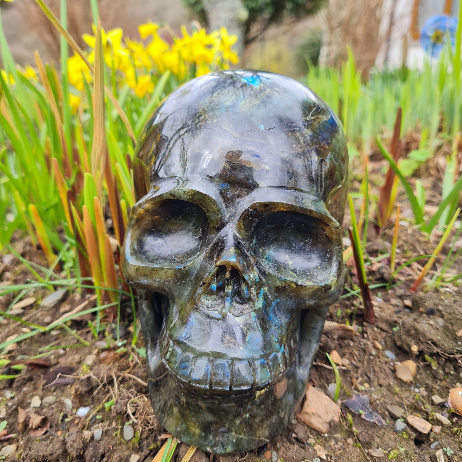 Healing Deepest Soul Parts Aigar Crystal Skull
