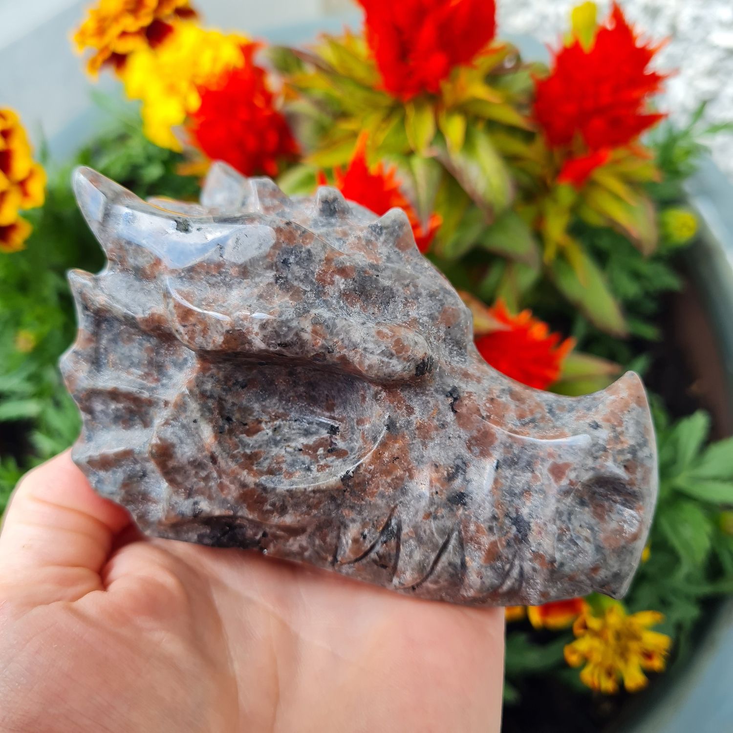 Yooperlite Dragon Skull 4&quot;