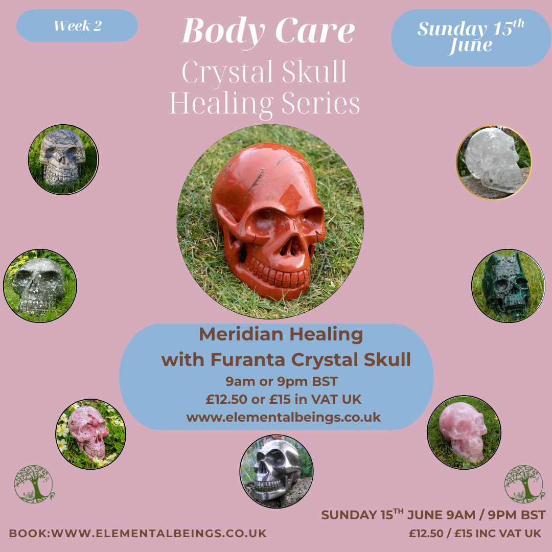 Meridians Healing with Furanta Red Jasper Crystal Skull