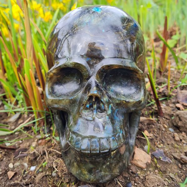 Solstice Awakening Spiritual Gifts Crystal Skull healing
