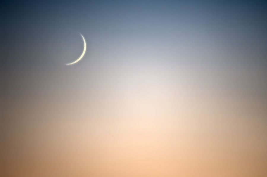 Self Nurture Antares and Goddess Selene Course