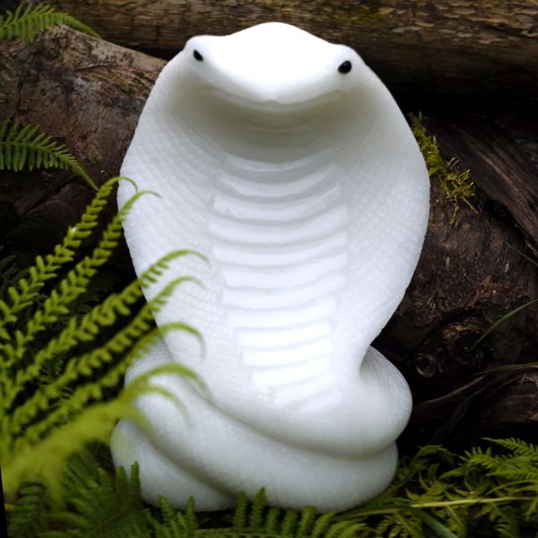 Rebirth Your Life with Kasara Jade Snake Healing