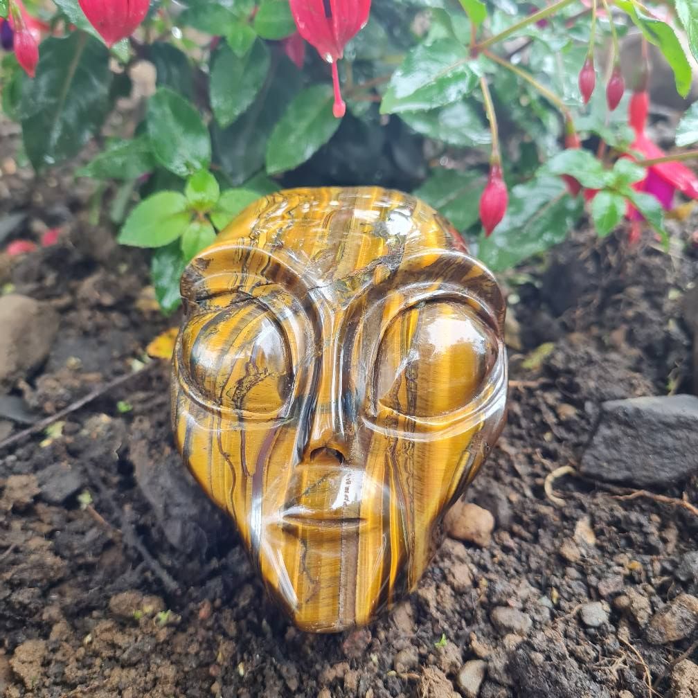Sirian Pineal Gland Activation Crystal Skull Healing