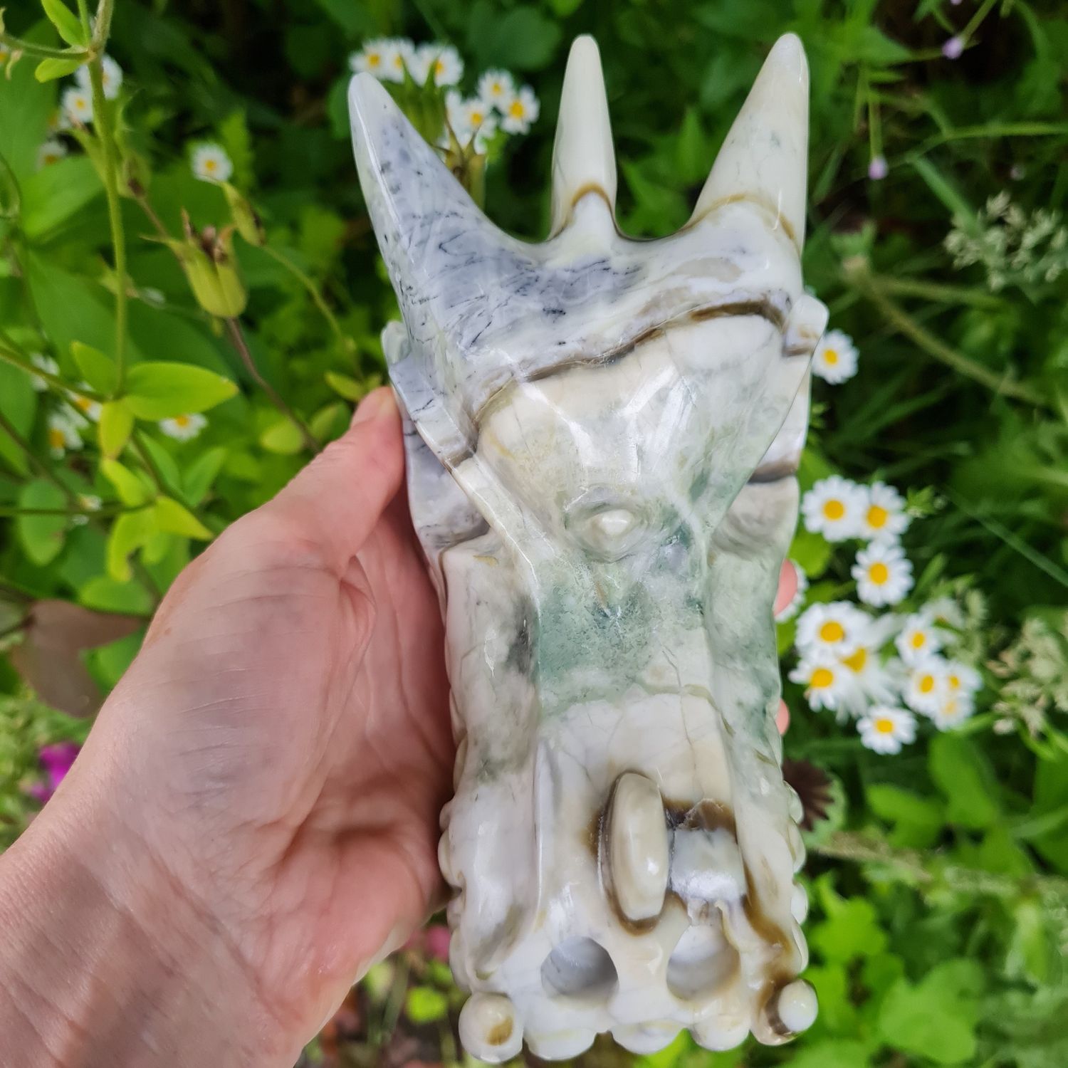 Rare Scottish Serpentine Dragon Skull 6&quot;
