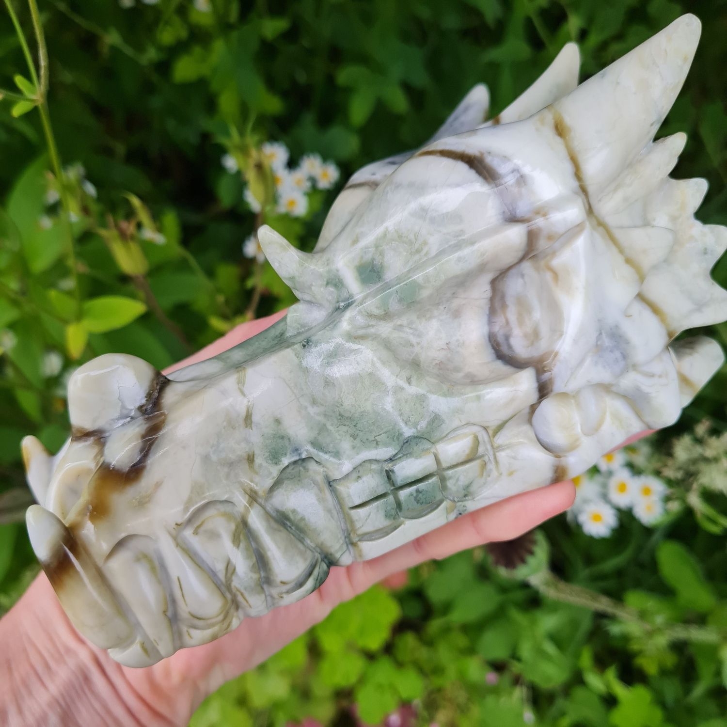 Mass Awakening of Consciousness Nasara Dragon Skull Healing