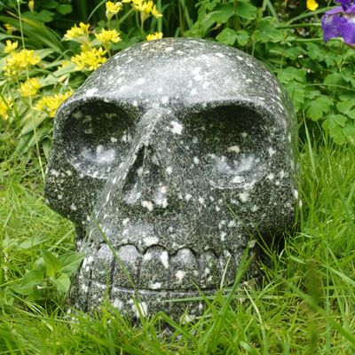 Spiritual Body healing with Ardmano Crystal Skull