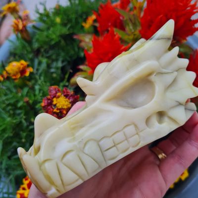 RARE Scottish Serpentine Dragon Skull 4