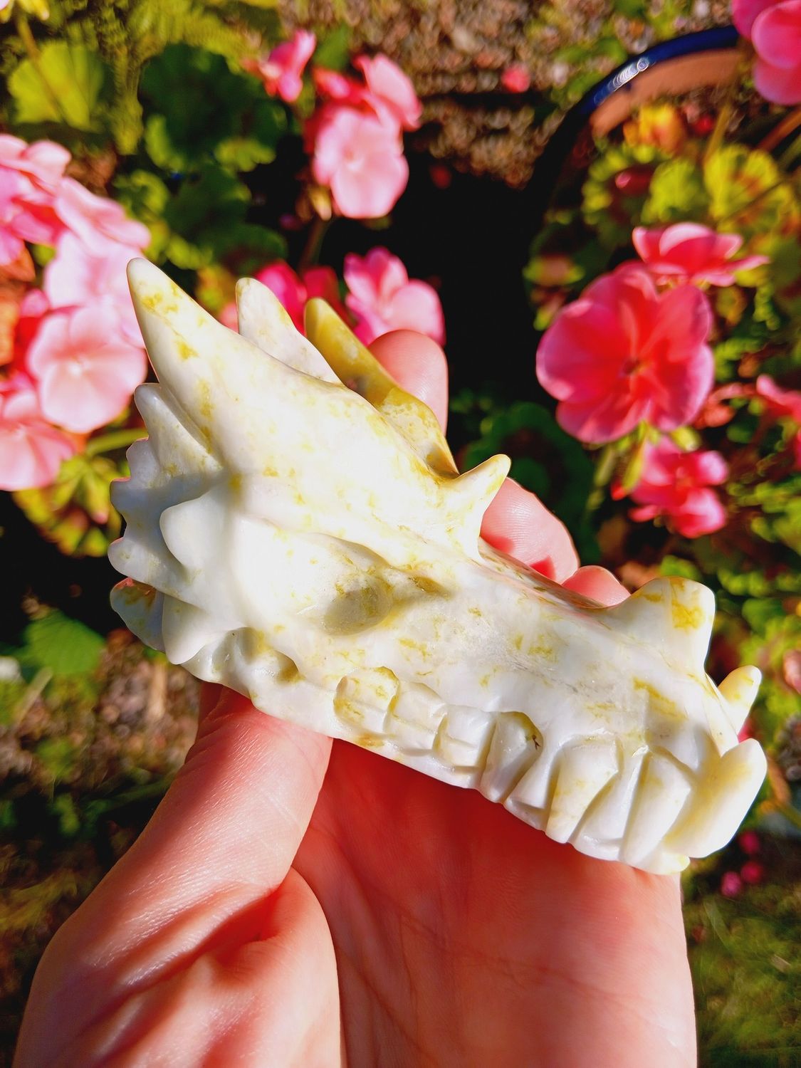 Rare Scottish Serpentine Dragon Skull 3&quot;