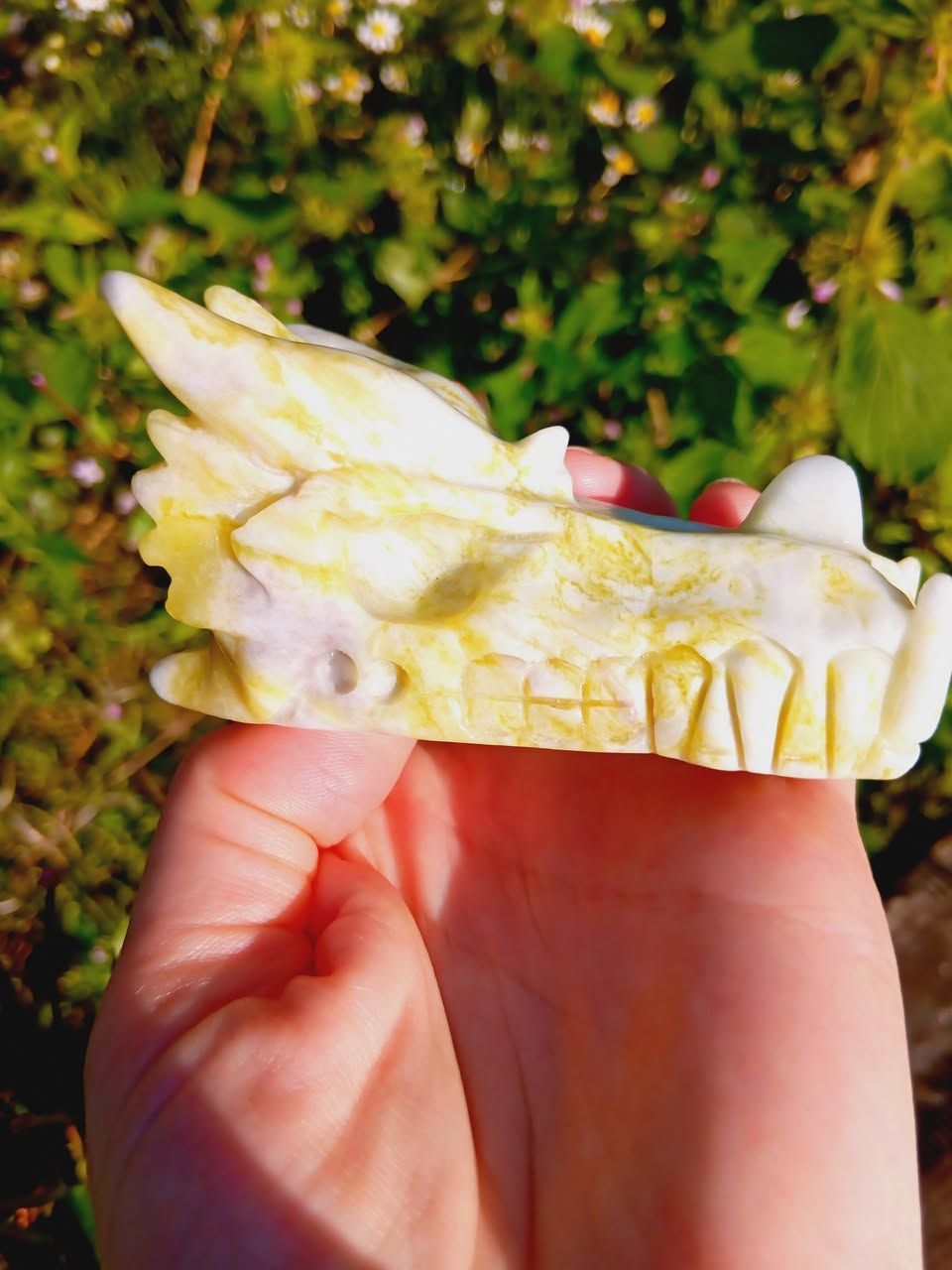 Rare Scottish Serpentine Dragon Skull 3&quot;