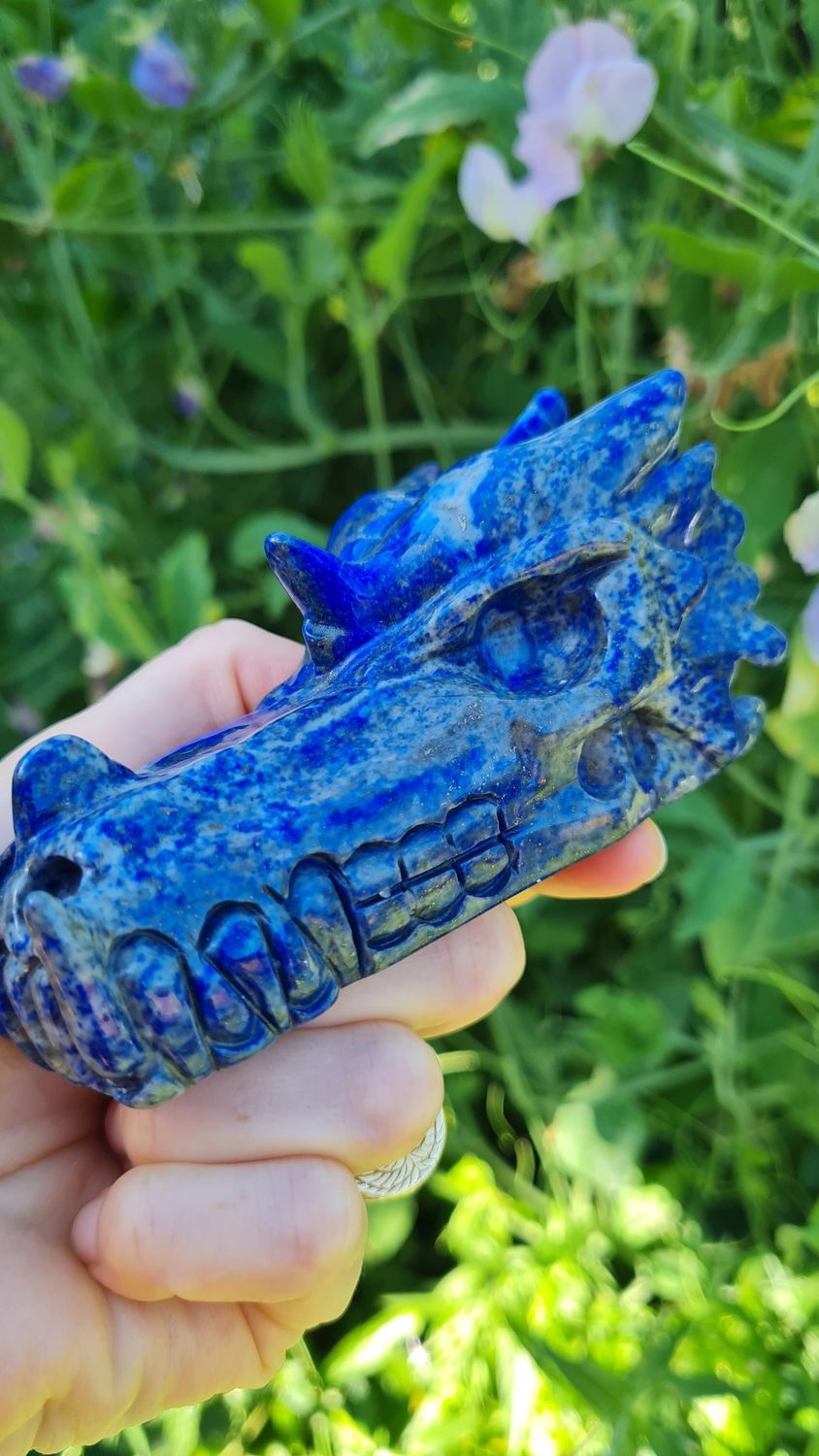 Lapis Lazuli Dragon Skull 4&quot;