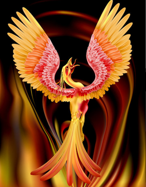 Golden Phoenix Rebirth Template Upgrade Workshop