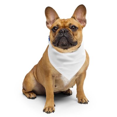 WGYJ 93.5 Doggy Bandana WGYJ 93.5 Doggy Bandana
