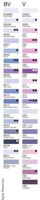 Copic - INK REFILLS - BV & V - (Blue Violet & Violet)