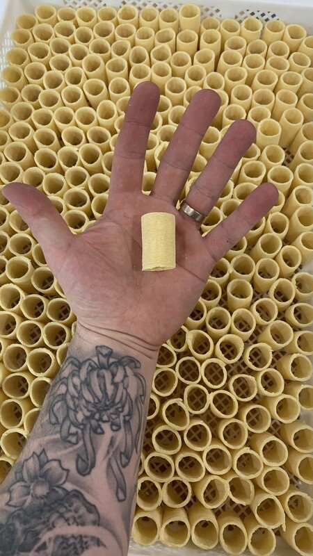 Paccheri