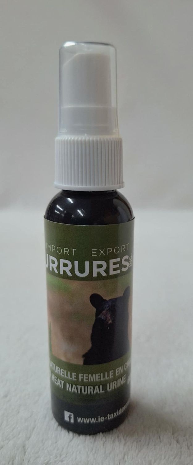 Urine d’ours Femelle Naturelle