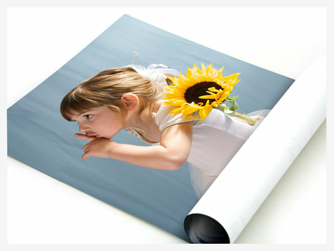 Premium Image Pro Posters (Synthetic)