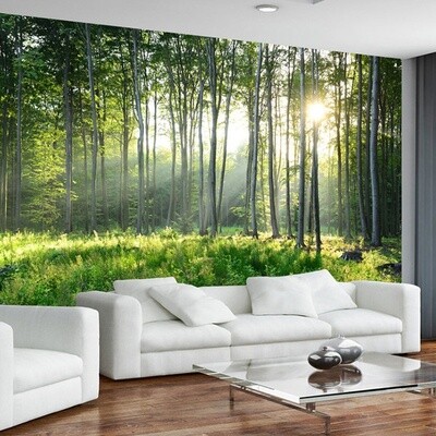 Feature Wall Printing - Murals