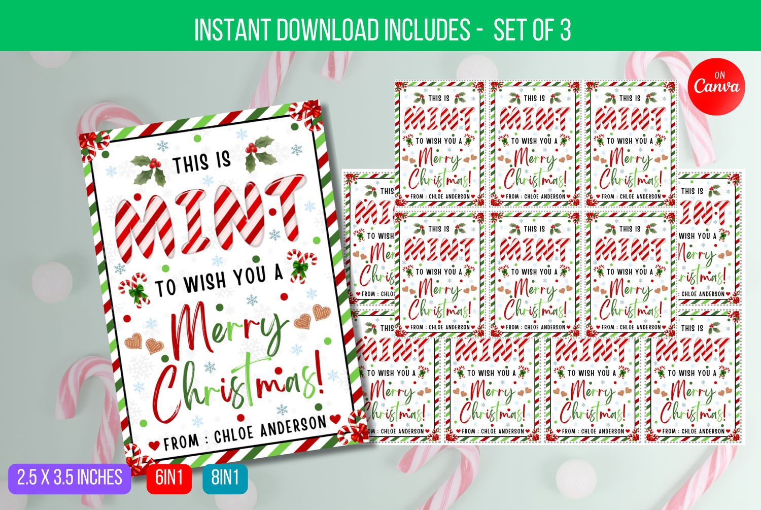 EDITABLE This is Mint to Wish you a Merry Christmas Tag, Mint Favor Tag, Mint Christmas Gift Tag Instant Download
