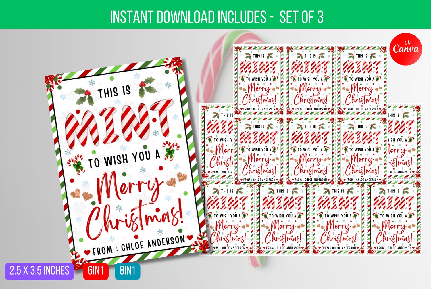 EDITABLE This is Mint to Wish you a Merry Christmas Tag, Mint Favor Tag, Mint Christmas Gift Tag Instant Download