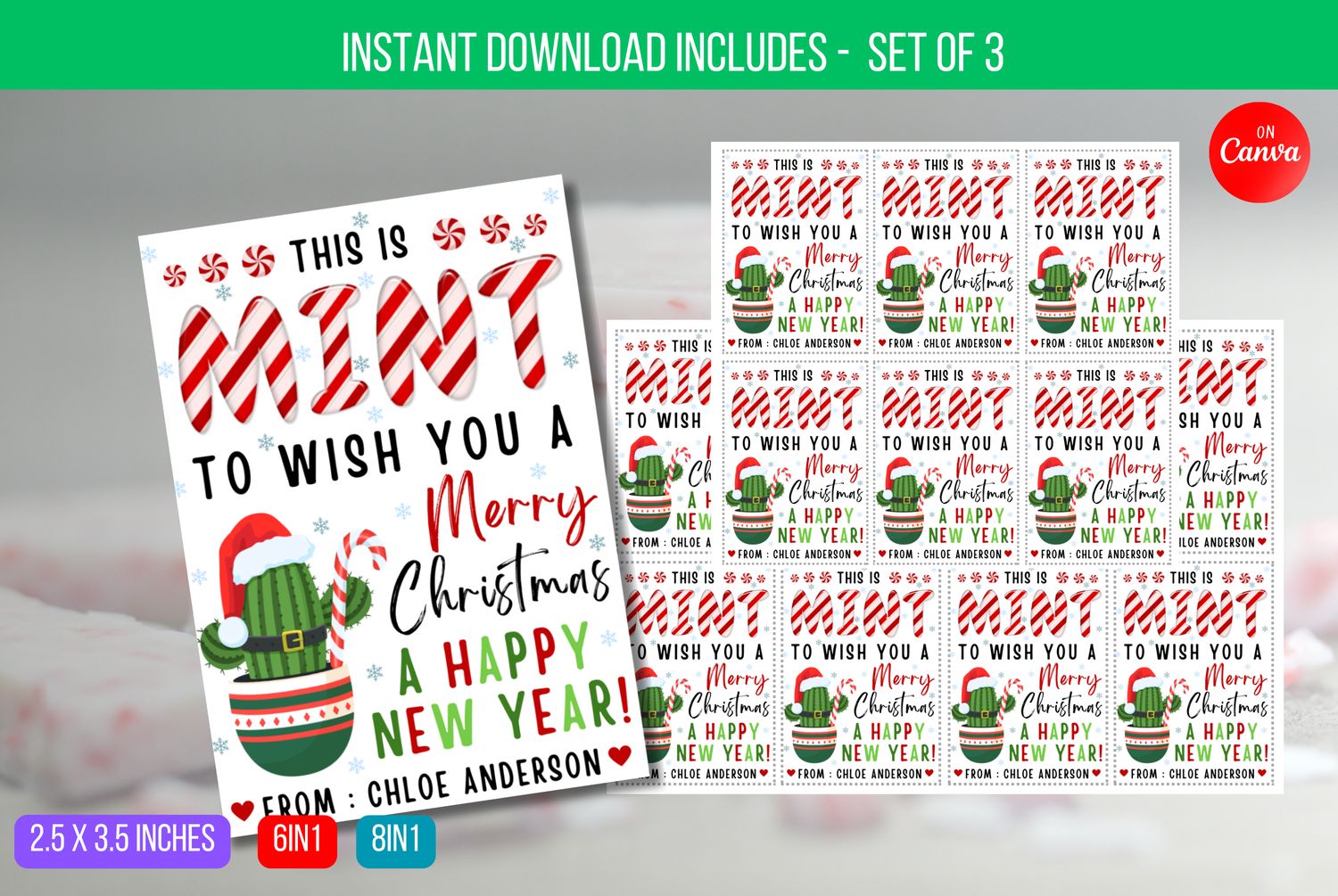 EDITABLE This is Mint to Wish you a Merry Christmas Tag, Mint Favor Tag, Mint Christmas Gift Tag Instant Download