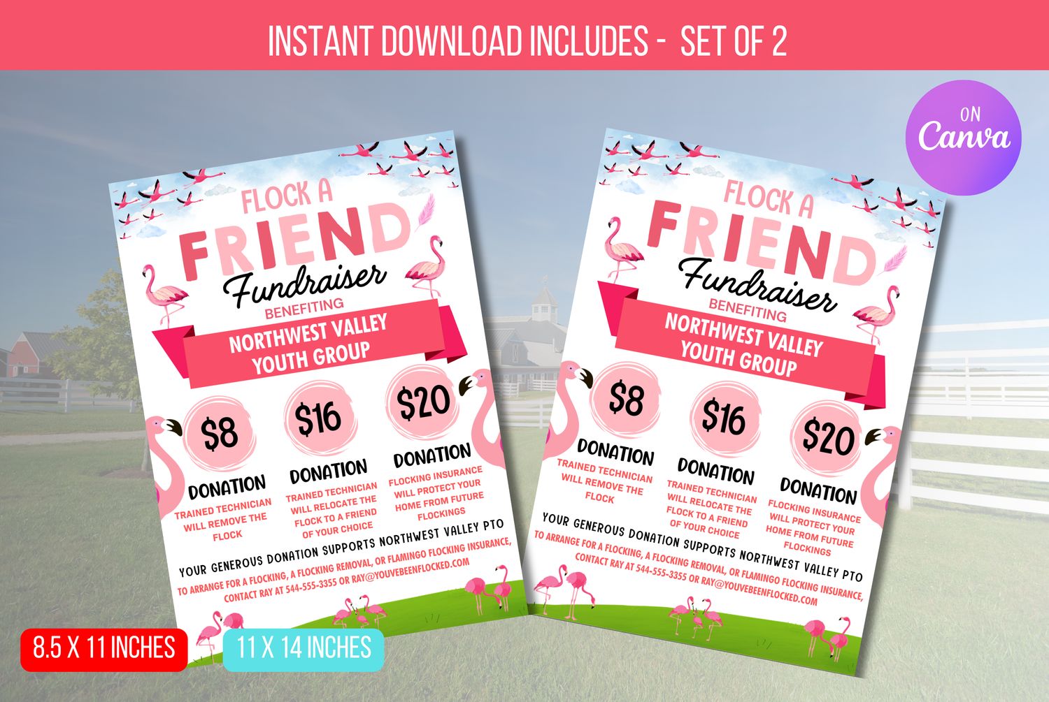 EDITABLE Flock a Friend Fundraiser Flyer, Flamingo Flocking Invitation, Custom Flamingo Yard Surprise Instant Download