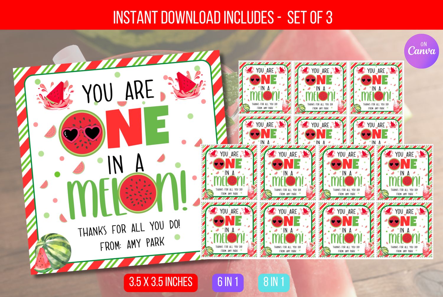 EDITABLE Watermelon Appreciation Gift Tag, You Are One In A Melon, Watermelon Gift Tags,    Staff Summer Appreciation PTA Instant Download