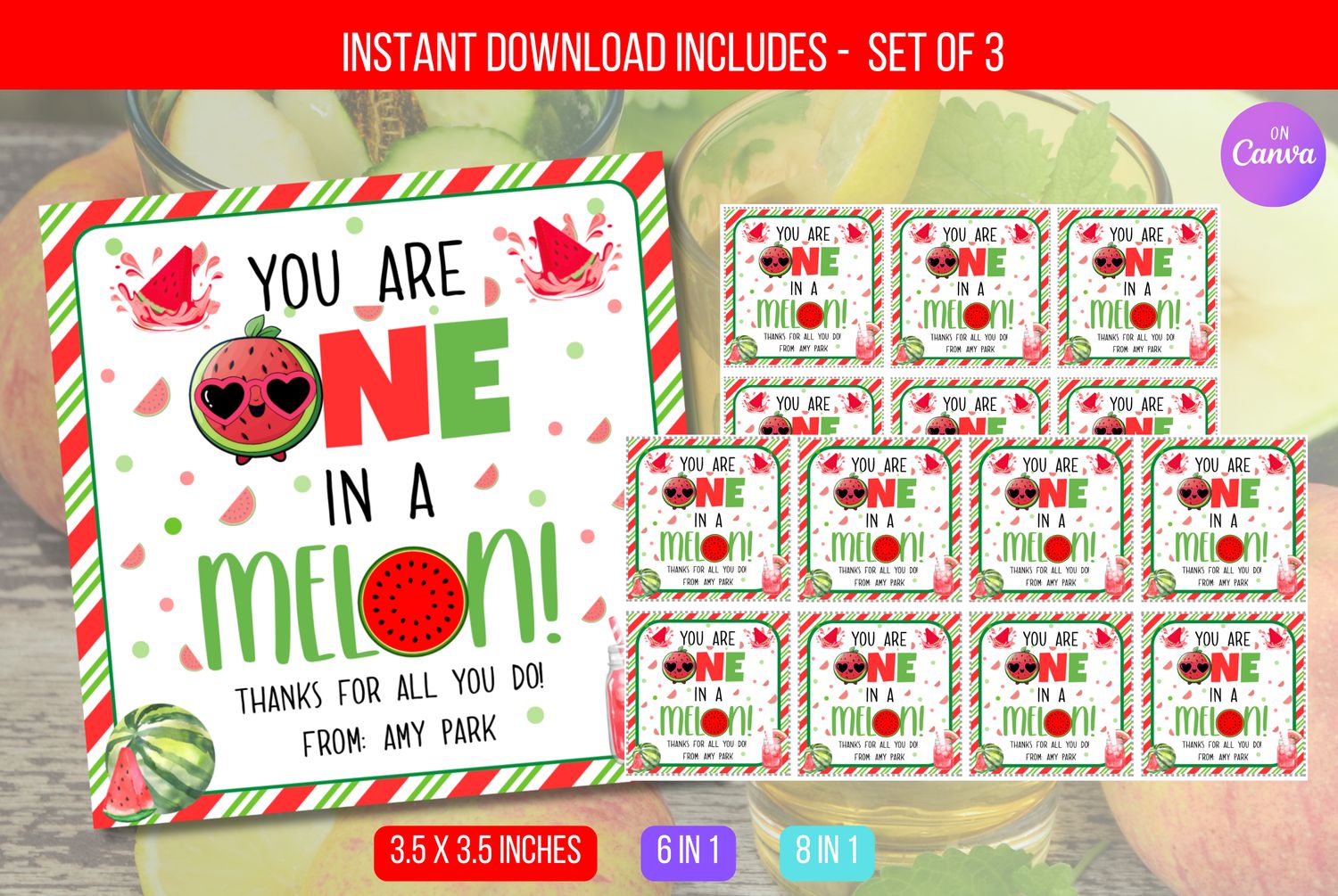 EDITABLE Watermelon Appreciation Gift Tag, You Are One In A Melon, Watermelon Gift Tags, Staff Summer Appreciation PTA Instant Download