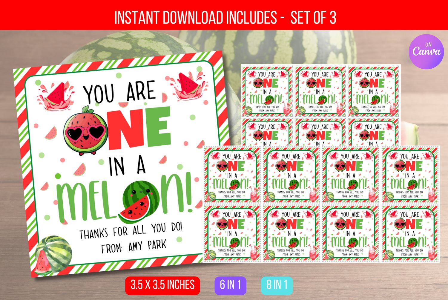 EDITABLE Watermelon Appreciation Gift Tag, You Are One In A Melon, Watermelon Gift Tags,    Staff Summer Appreciation PTA Instant Download