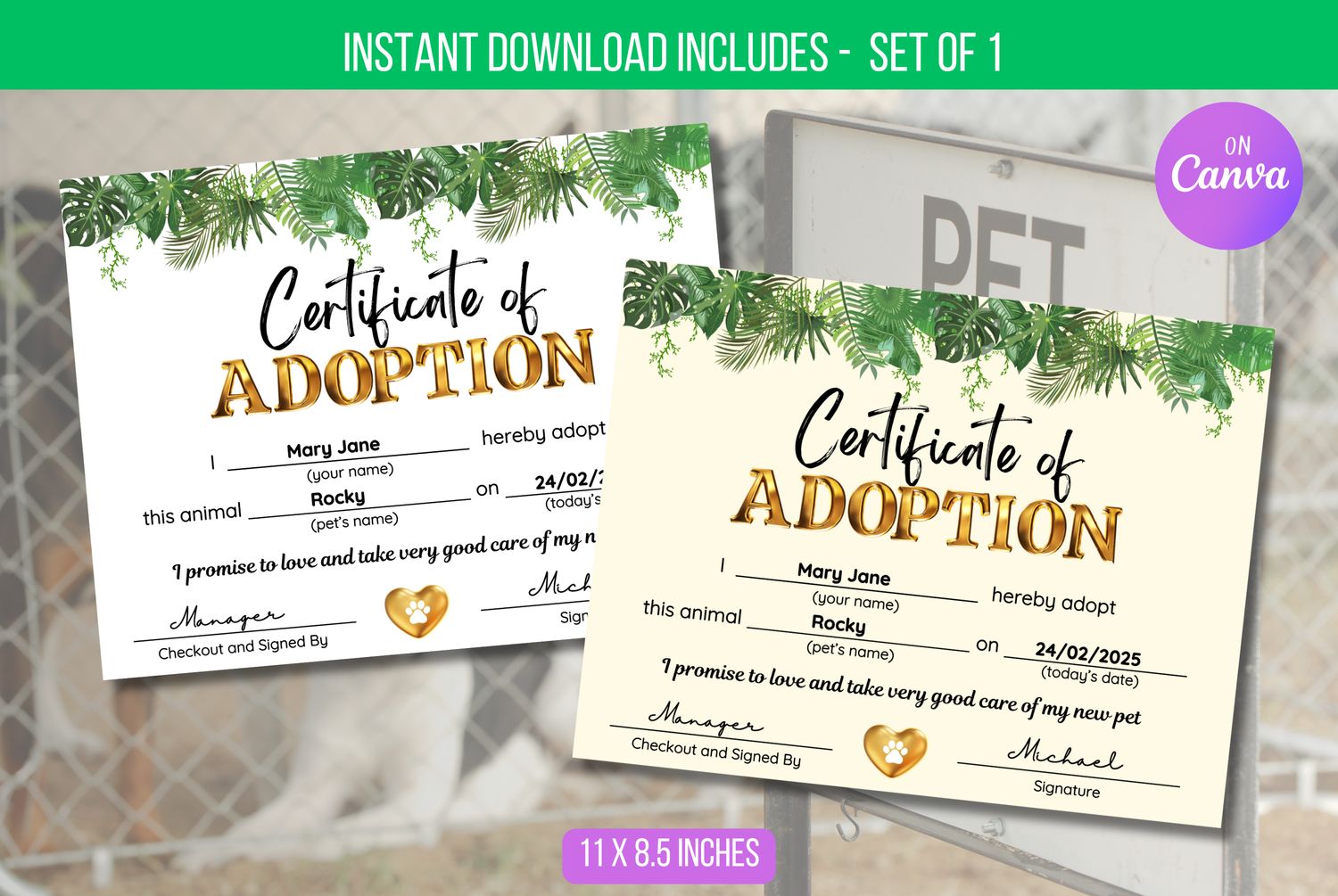 EDITABLE Adoption Certificate for Lets Pawty, Kitty Cat Party, Dog Adoption, Pet Adoption, and Instant Digital File Download