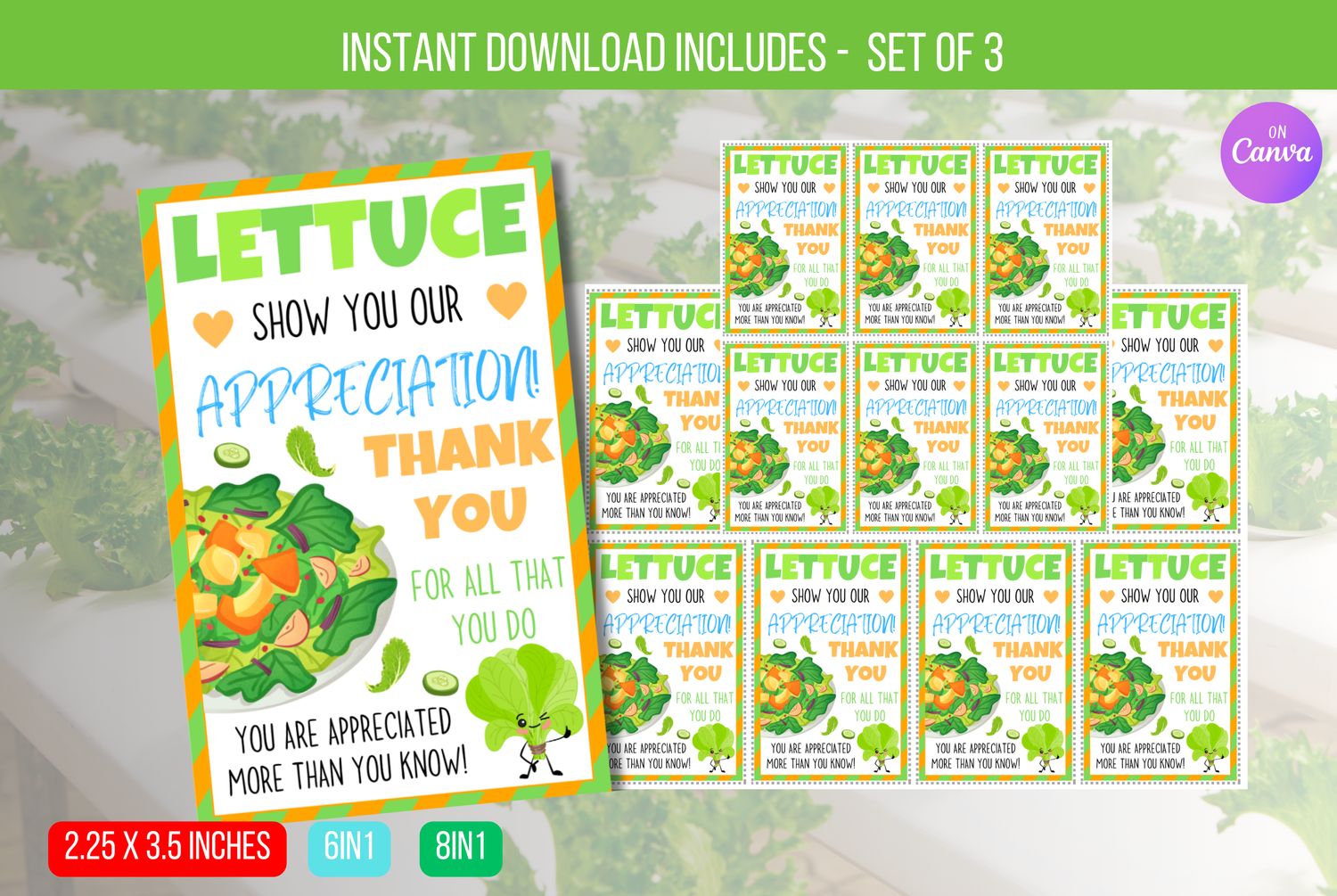 EDITABLE Lettuce Show You Our Thanks, Salad Bar Appreciation Sign, Appreciation Week Lunch Decor, Employee Nurse School Instant Download