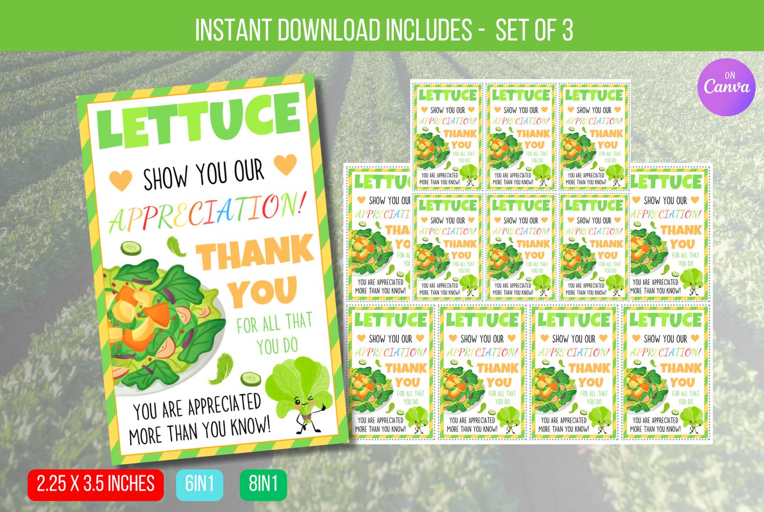 EDITABLE Lettuce Show You Our Thanks, Salad Bar Appreciation Sign, Appreciation Week Lunch Decor, Employee Nurse School Instant Download