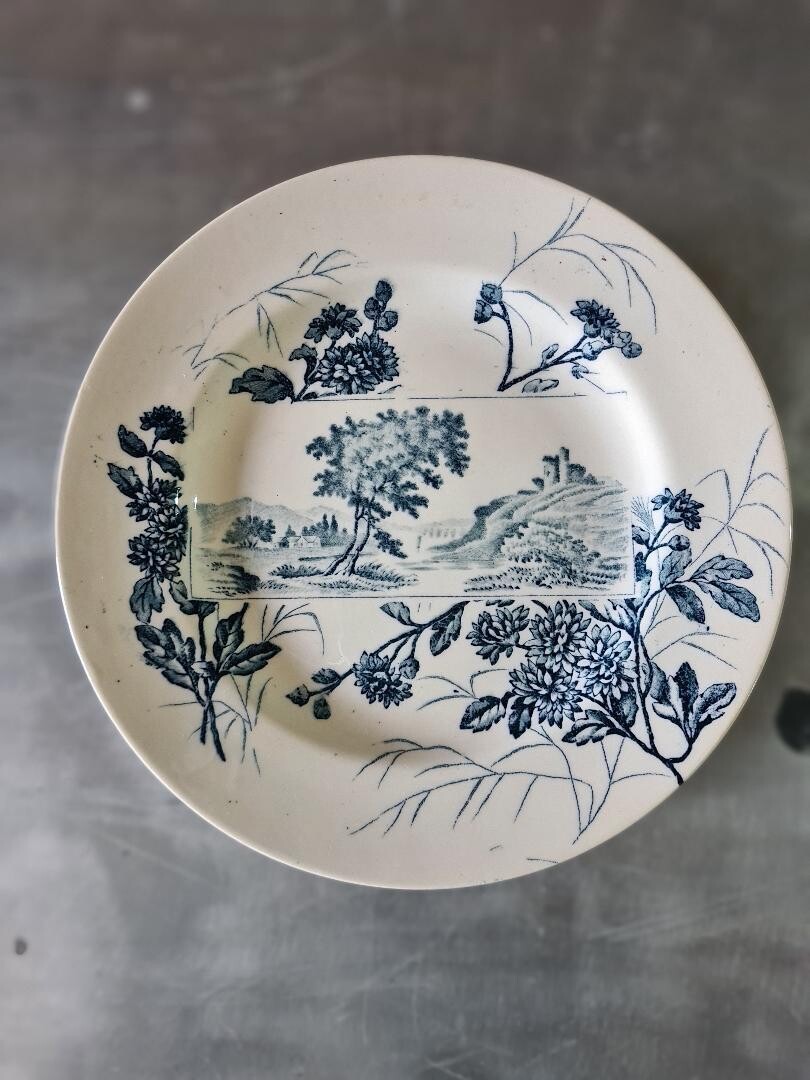 Assiettes plates