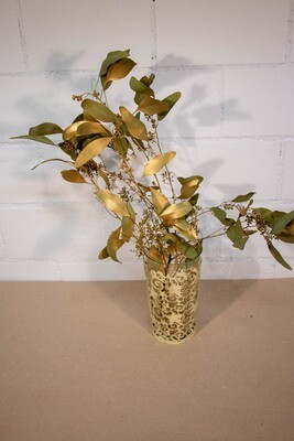 Eukalyptus gold eingefärbt