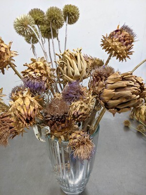 Artischocken Blüte