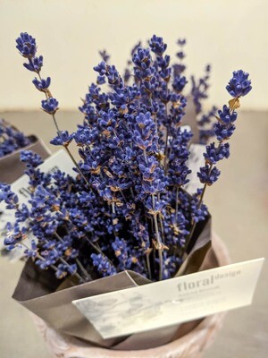 Lavendel Trocken Natur