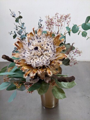 Protea ausganiert
