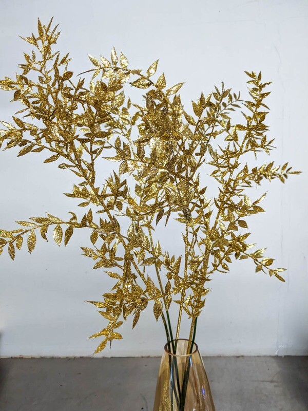 Gold Zweig / Ruscus Trocken