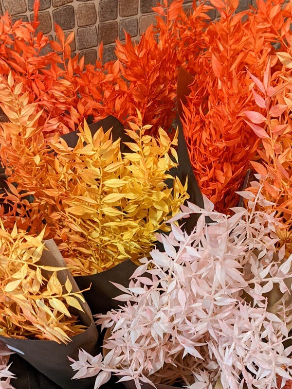 Ruskus eingefärbt orange/ gelb