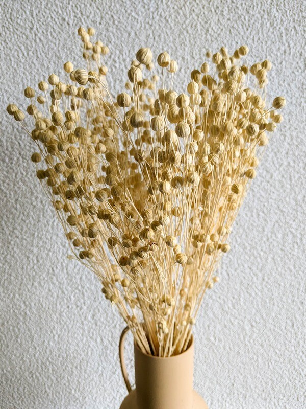 Leine / Flachs gebleicht